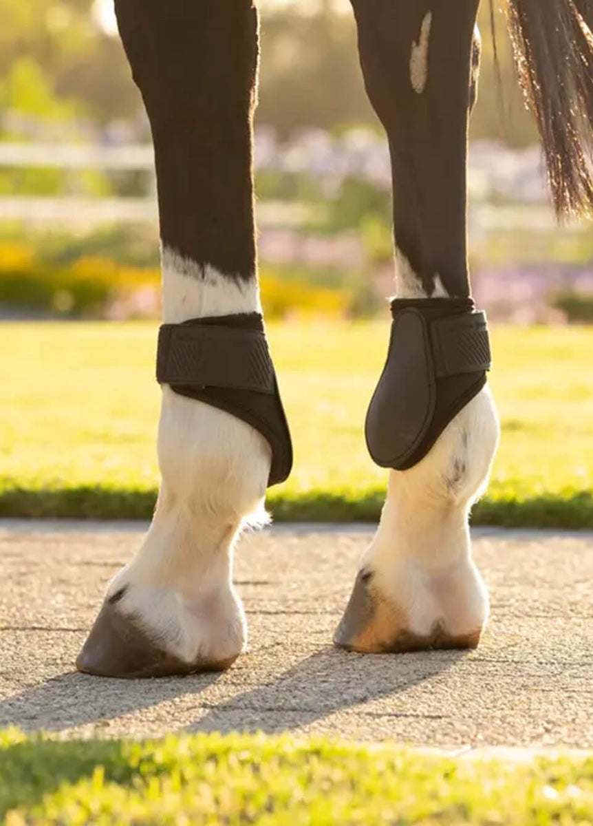 LeMieux Arika Fetlock Boots - Black