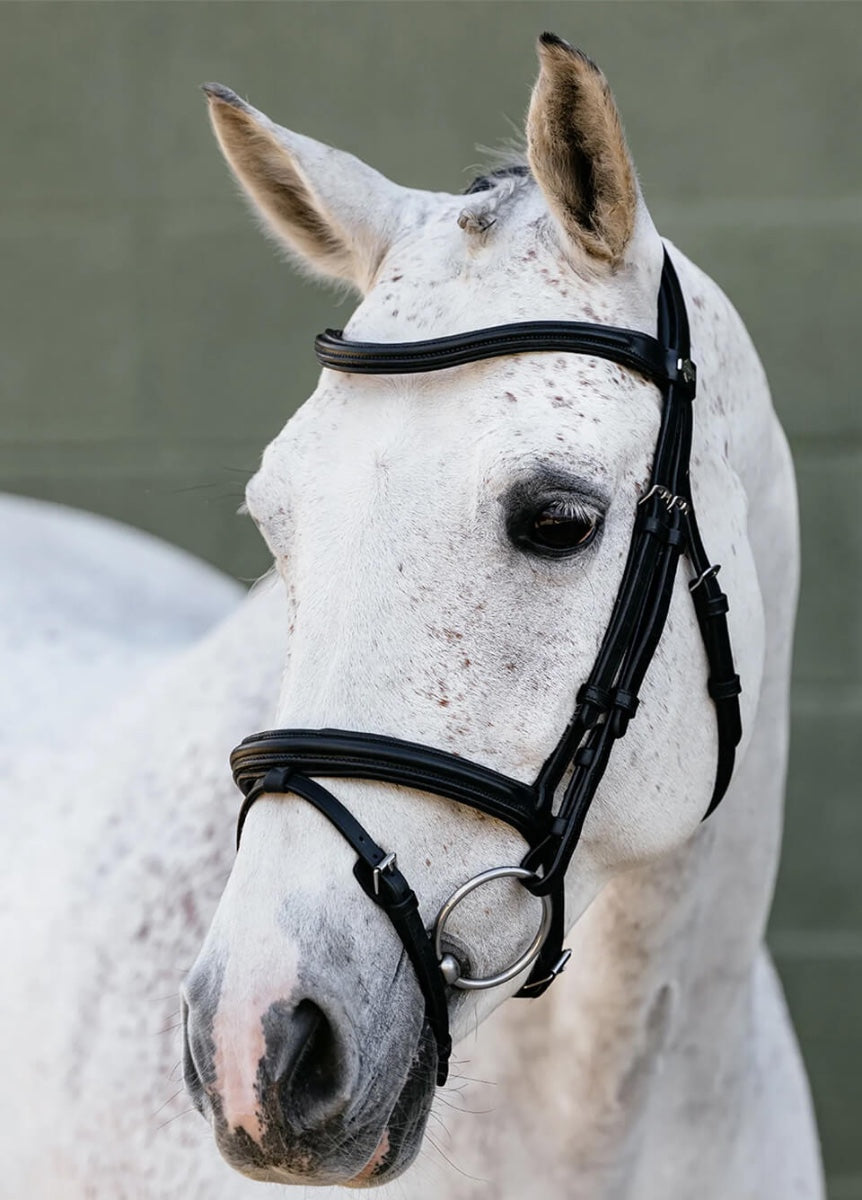 LeMieux Arika Flash Bridle - Black/Silver
