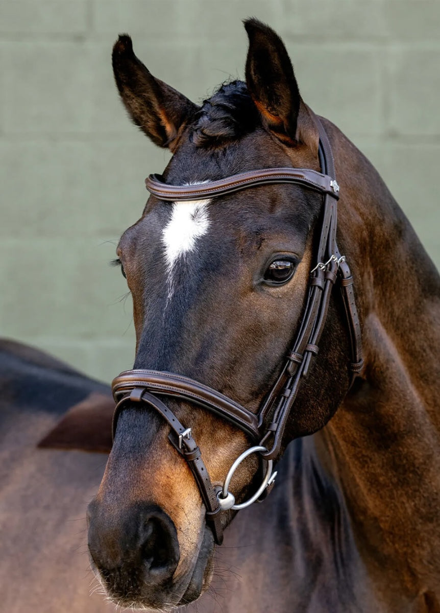 LeMieux Arika Flash Bridle - Brown/Silver