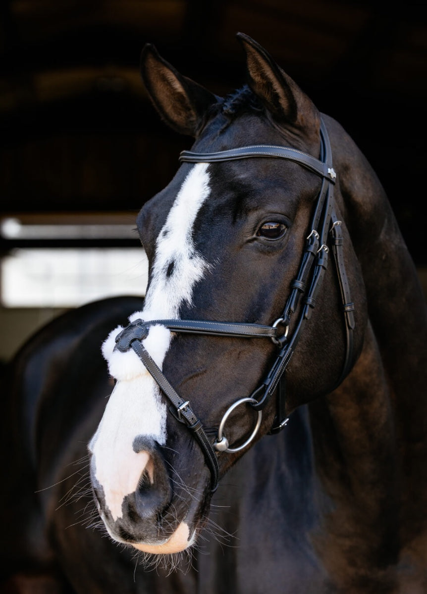 LeMieux Arika Grackle Bridle - Black/Silver