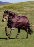 LeMieux Arika Ripstop 100g Turnout Rug - Bramble