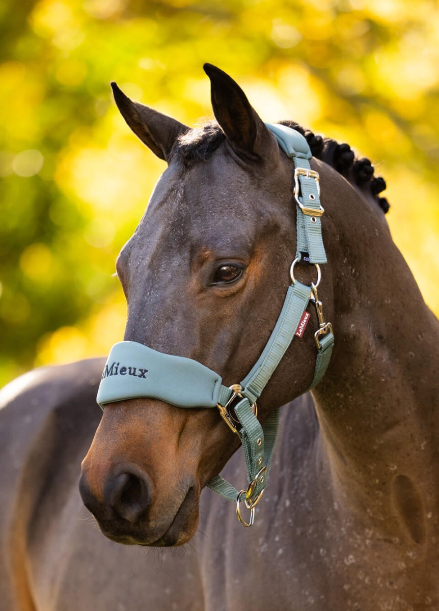 LeMieux Breakaway Vogue Headcollar & Leadrope - Aloe