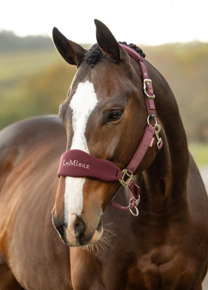 LeMieux Breakaway Vogue Headcollar & Leadrope - Bramble
