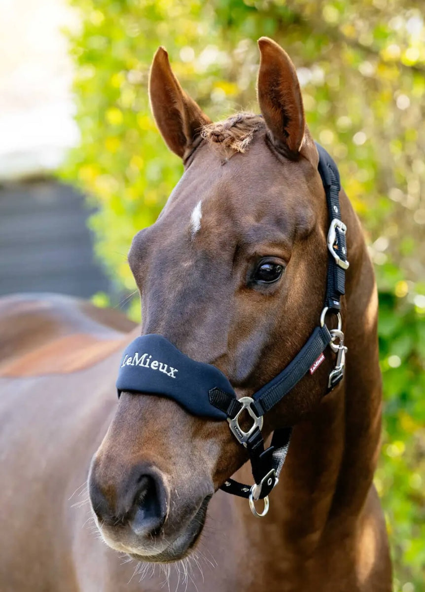 LeMieux Breakaway Vogue Headcollar - Black