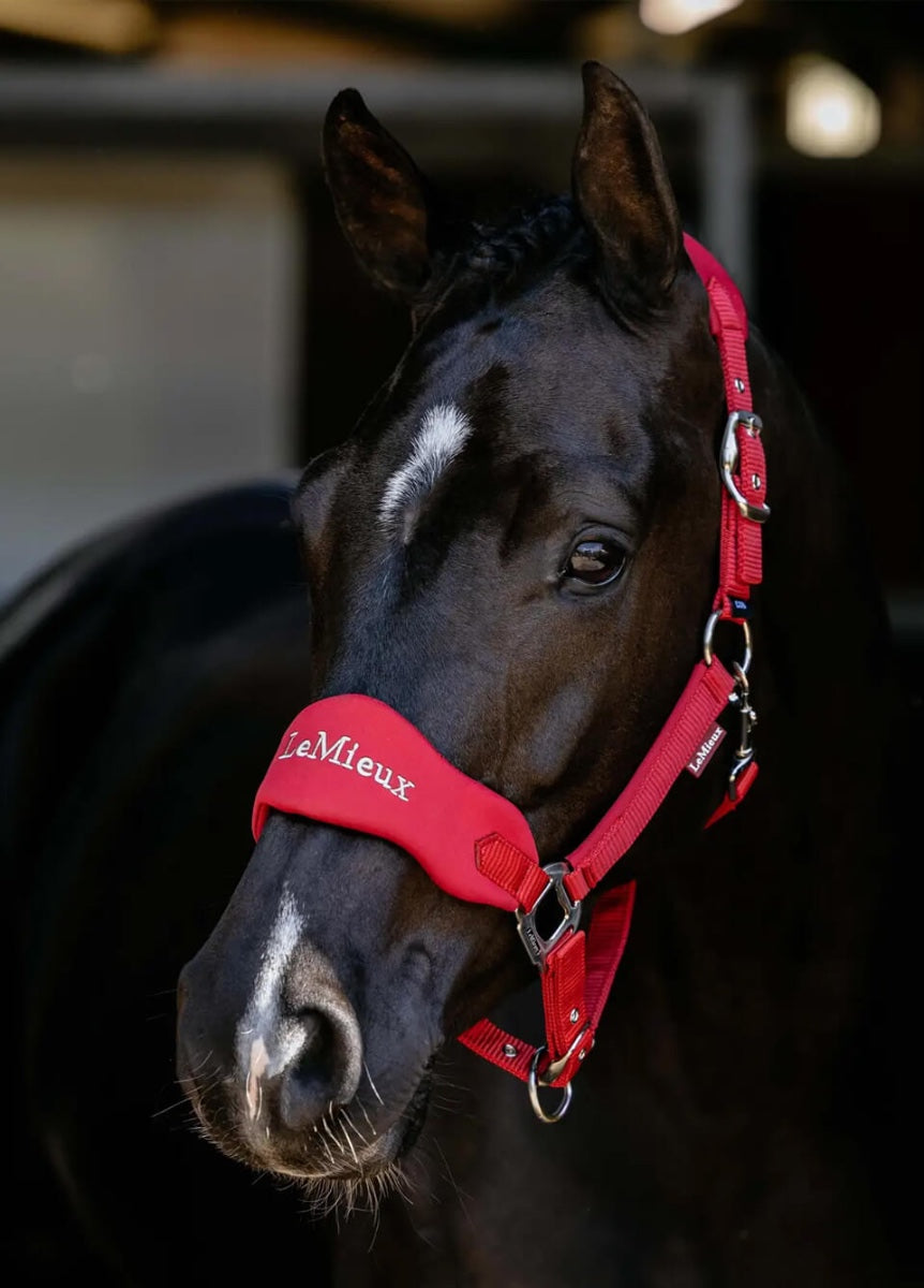 LeMieux Breakaway Vogue Headcollar - Chilli