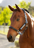 LeMieux Capella Headcollar - Powder Blue