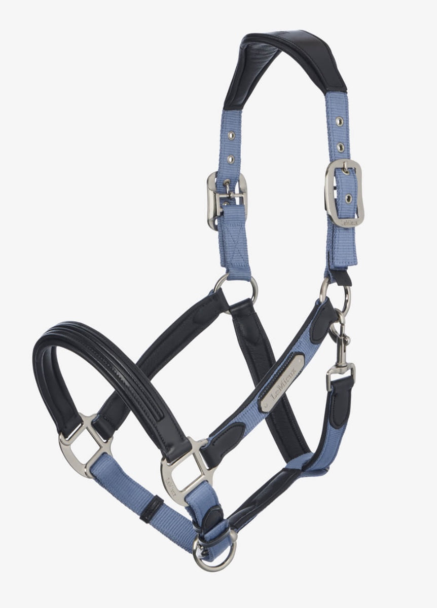 LeMieux Capella Headcollar - Powder Blue