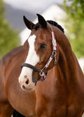 LeMieux Capella Headcollar - Fondant