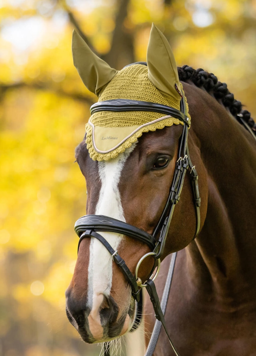 LeMieux Classic Fly Hood - Gooseberry
