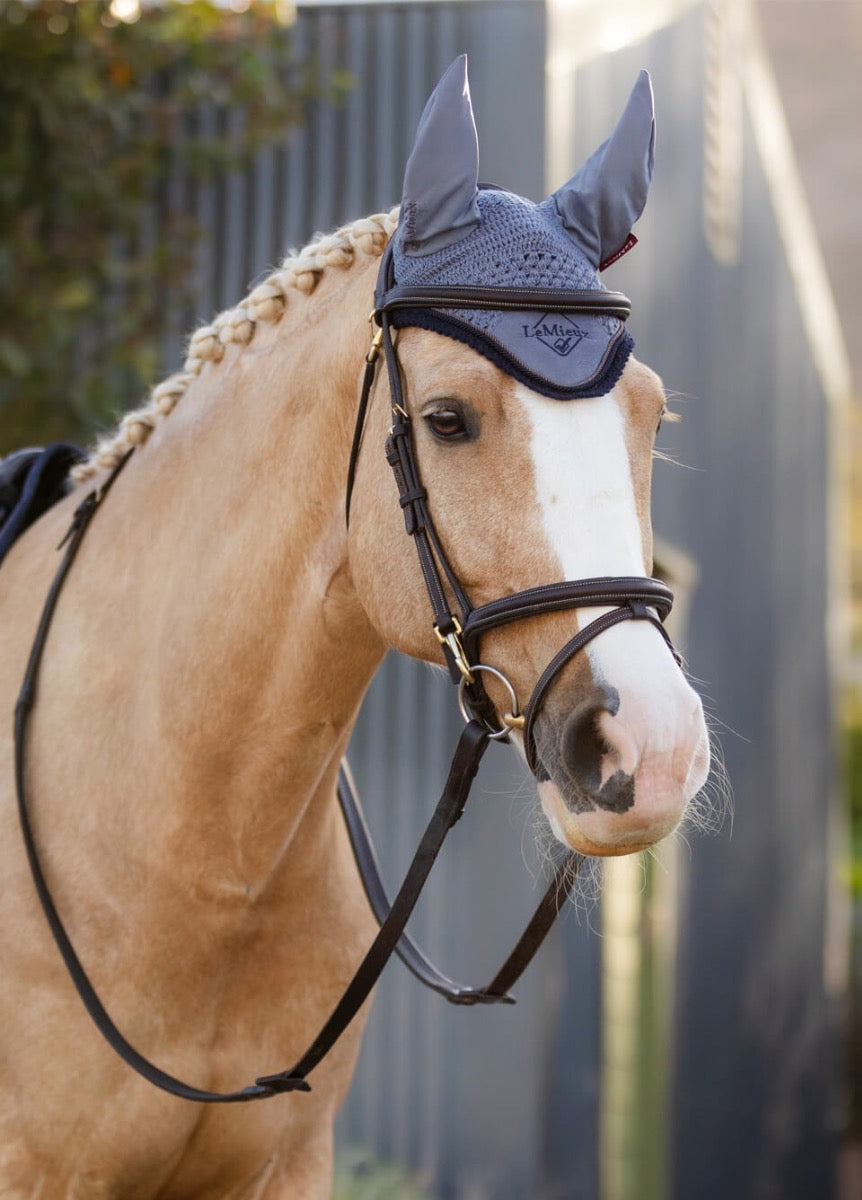 LeMieux Classic Fly Hood - Jay Blue