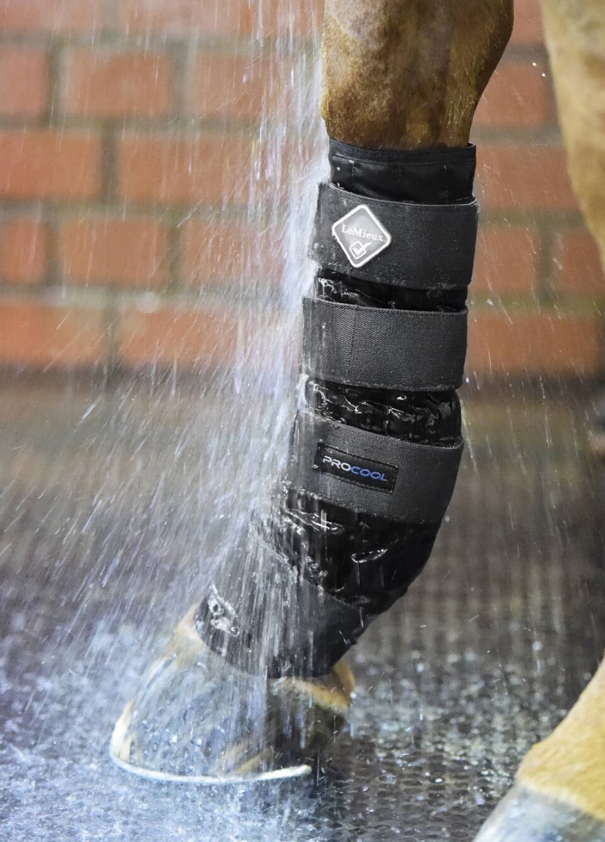 LeMieux Cold Water Boots - Black