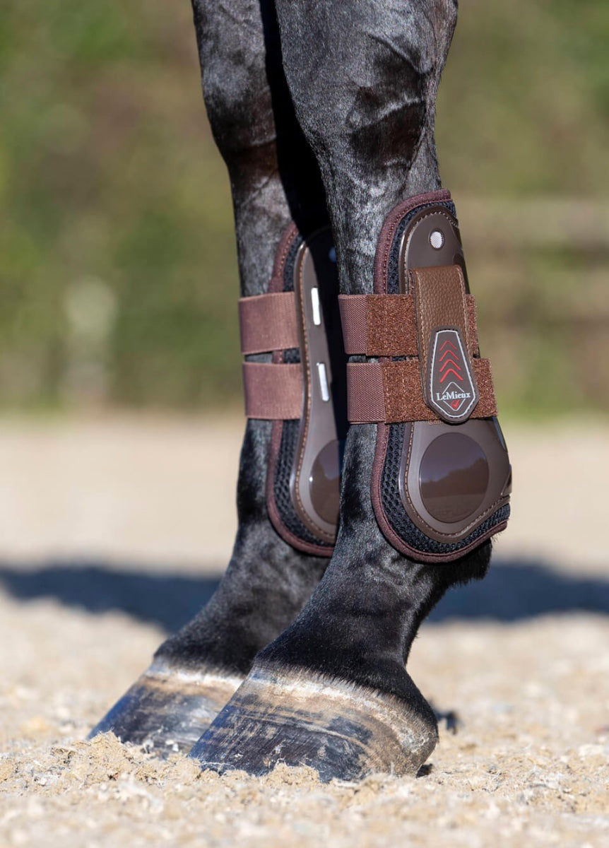 LeMieux Derby ProJump Tendon Boot - Brown