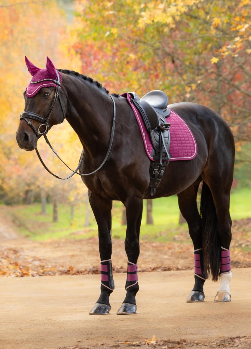 LeMieux Suede Dressage Square - Blackberry