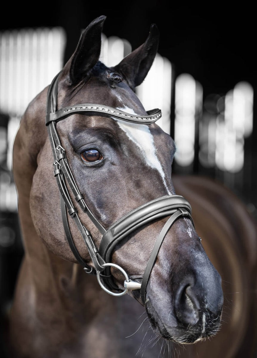 LeMieux Arika Dressage Bridle - Black/Silver