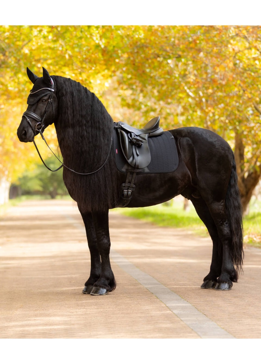 LeMieux Essence Dressage Square - Black