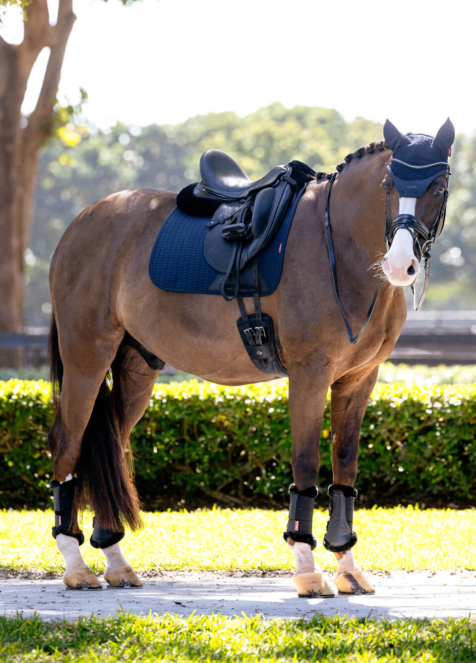 LeMieux Essence Dressage Square - Navy