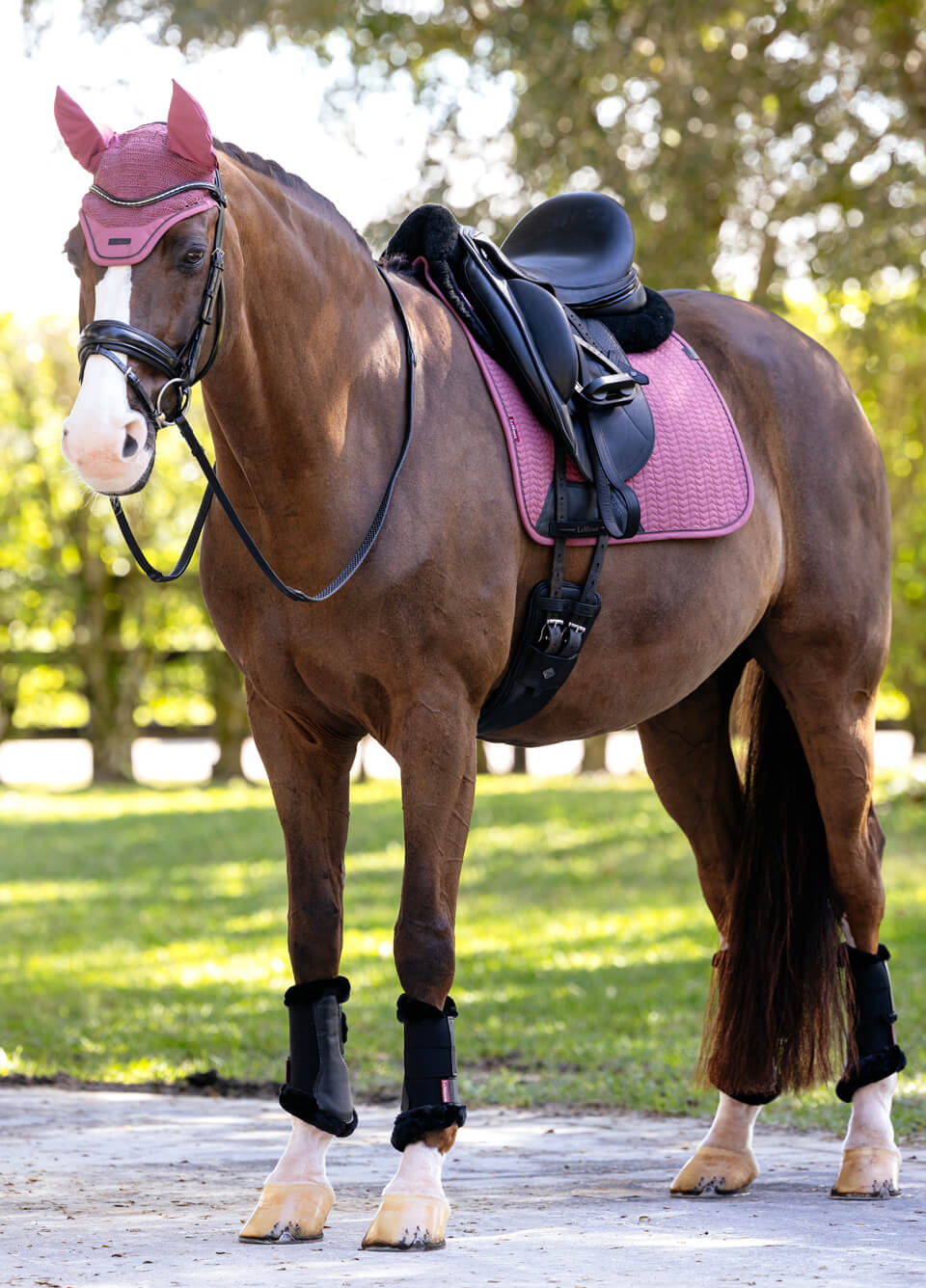 LeMieux Essence Dressage Square - Rosewood