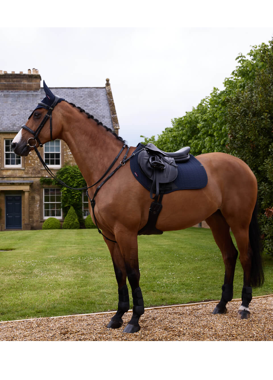 LeMieux Essence Eurojump Square - Navy