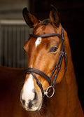 LeMieux Arika Flash Bridle - Brown/Silver