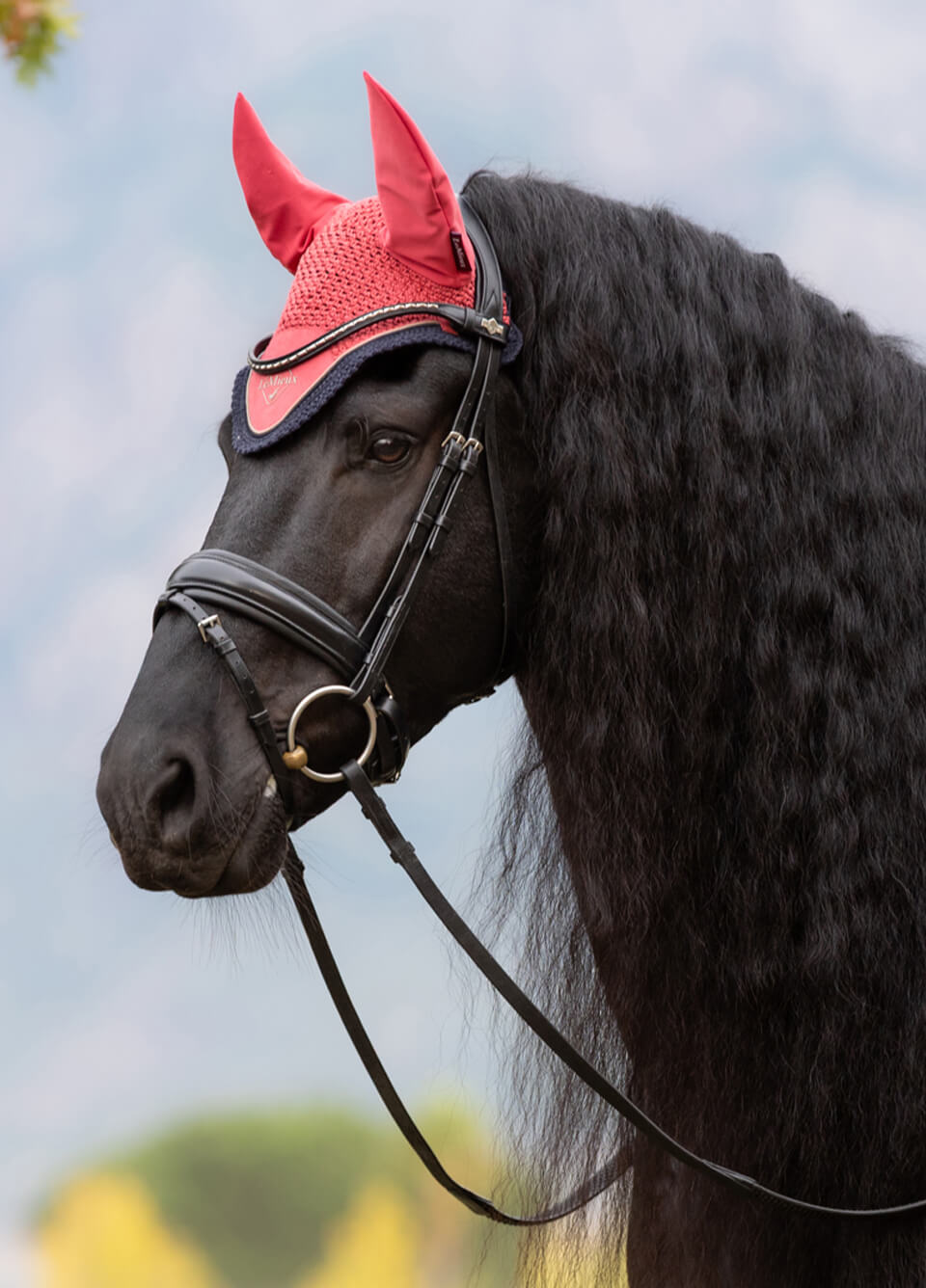 LeMieux Classic Fly Hood - Cranberry