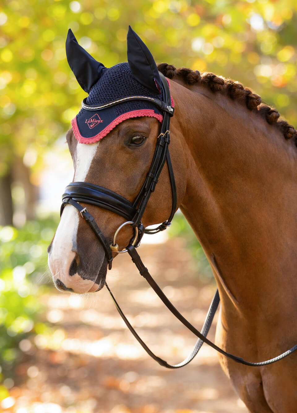 LeMieux Classic Fly Hood - Navy/Cranberry