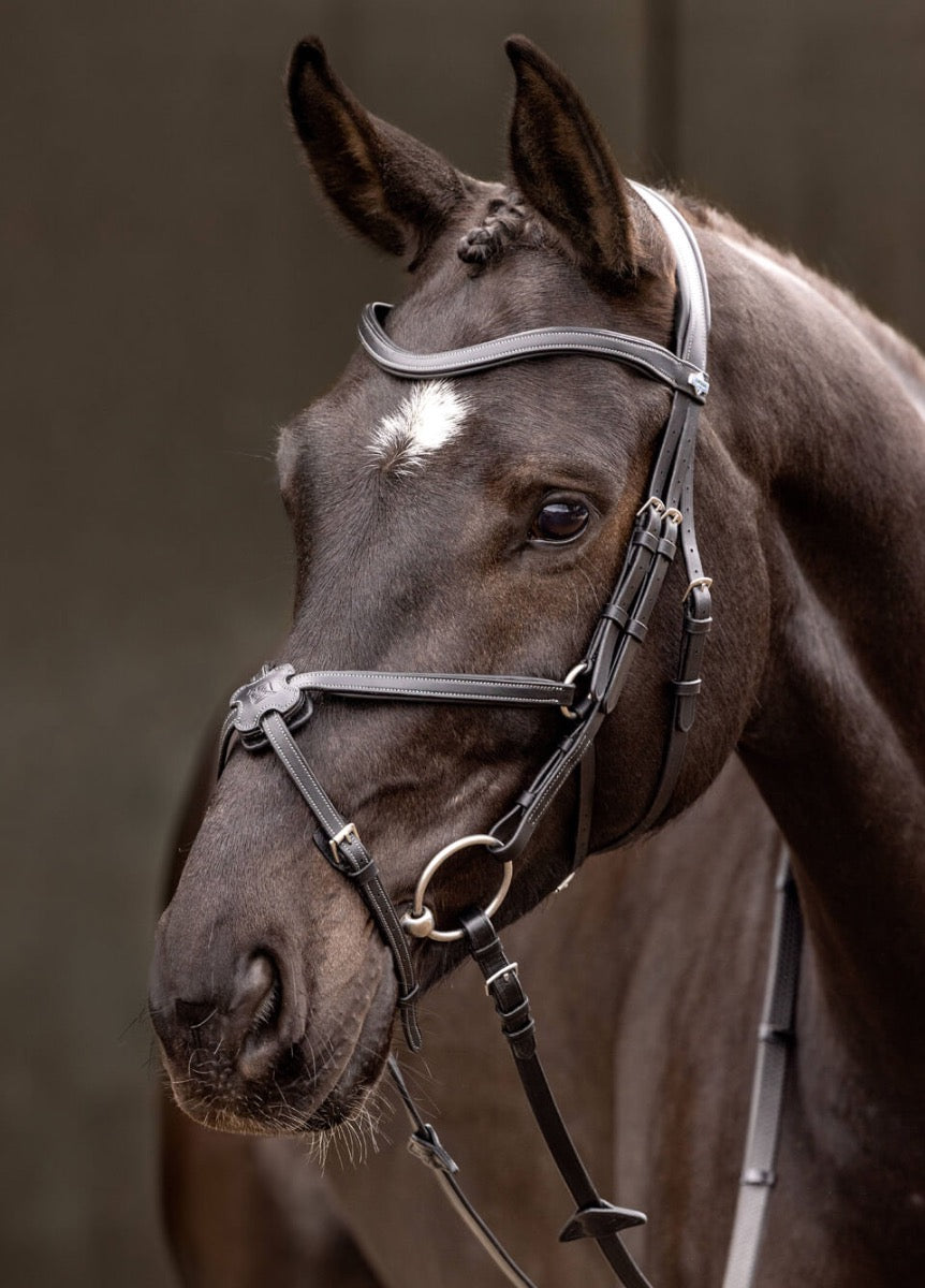 LeMieux Arika Grackle Bridle - Black/Silver