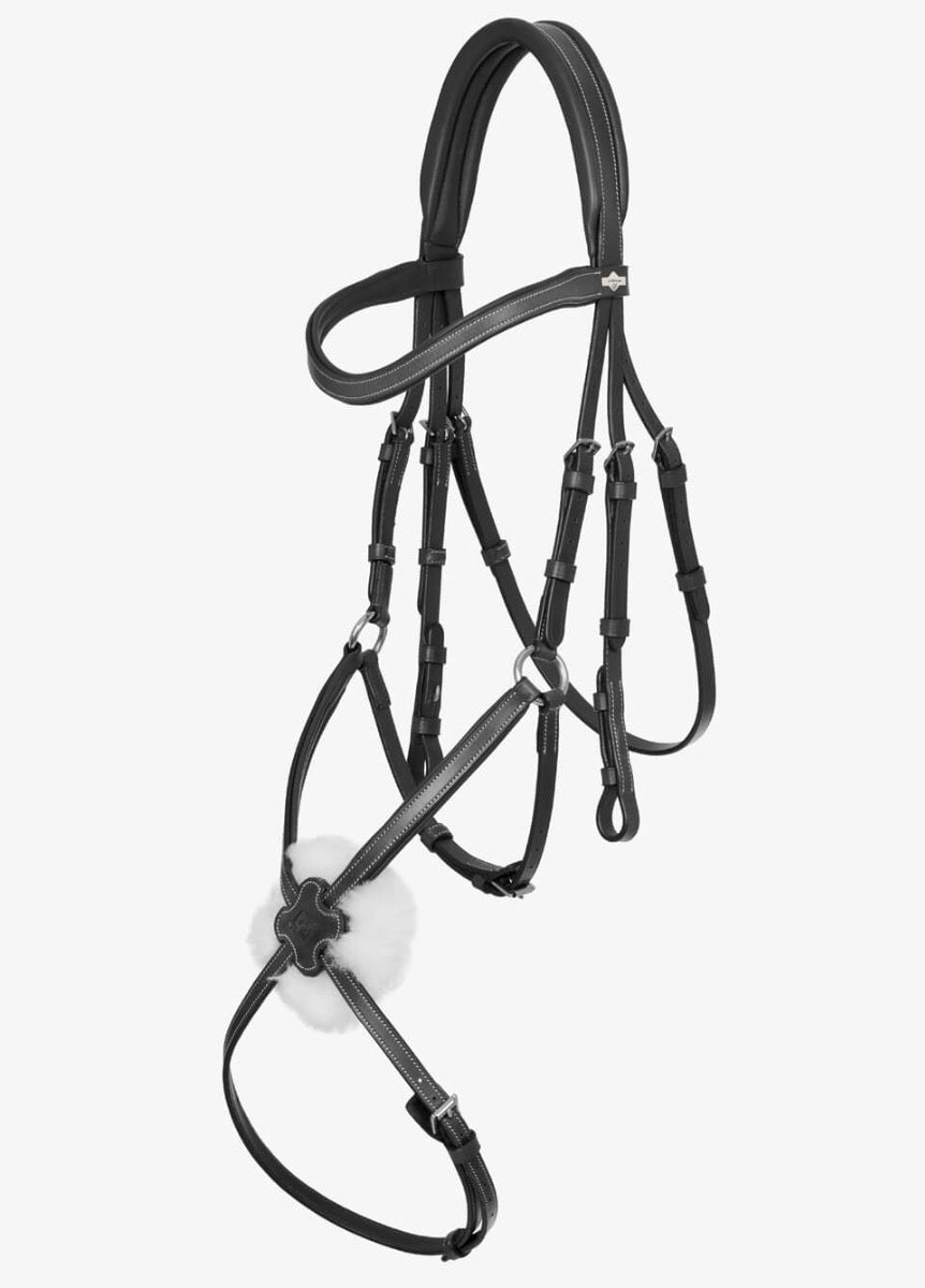 LeMieux Arika Grackle Bridle - Black/Silver