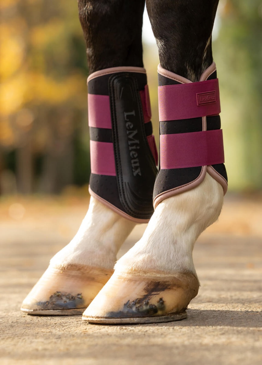 LeMieux Air-Tek Grafter Brushing Boots - Blackberry