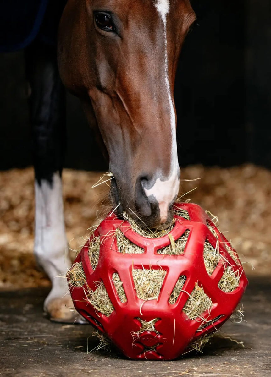 LeMieux Hay Ball - Chilli