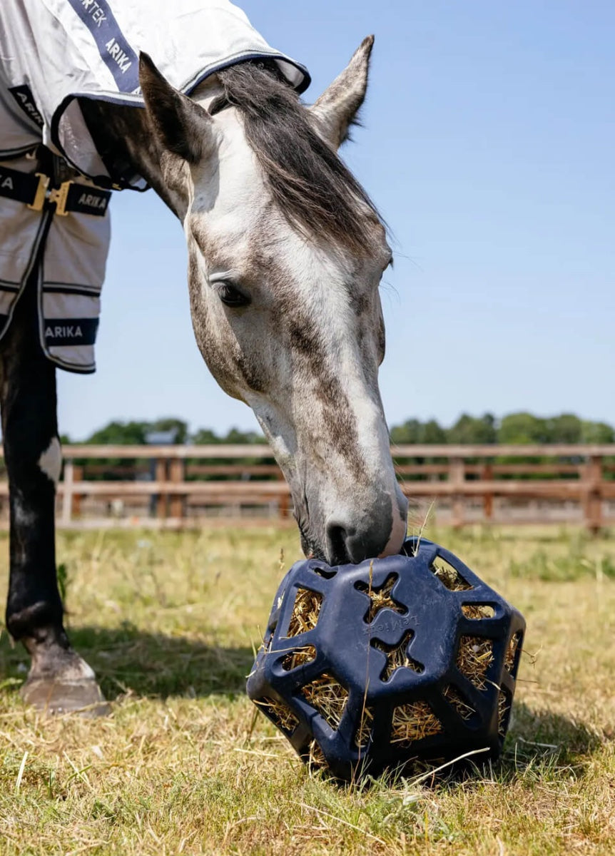 LeMieux Hay Ball - Navy