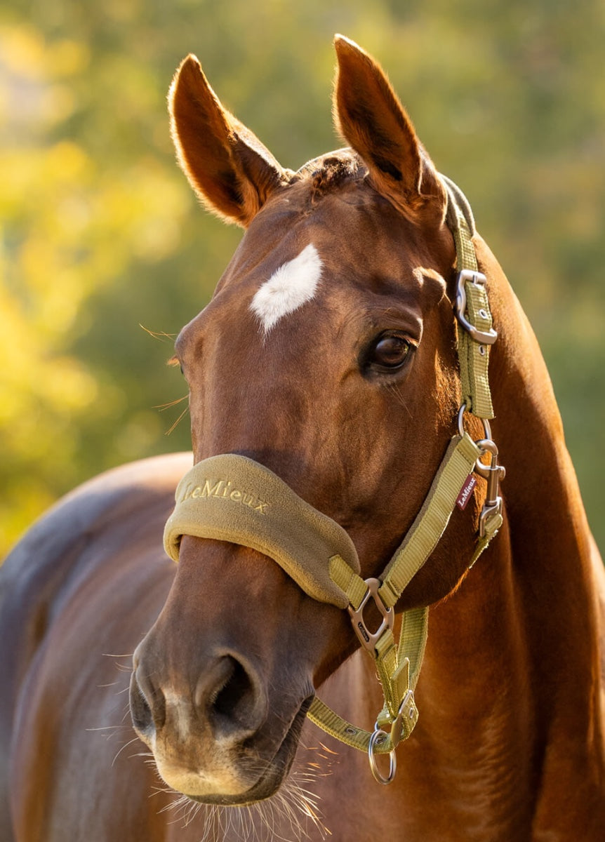 LeMieux Vogue Fleece Headcollar & Leadrope - Gooseberry
