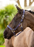 LeMieux Essential Yard Headcollar - Navy