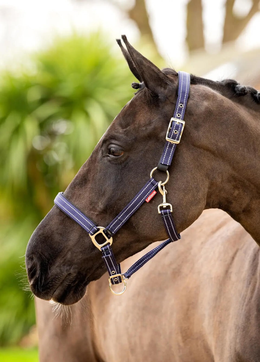 LeMieux Essential Yard Headcollar - Navy
