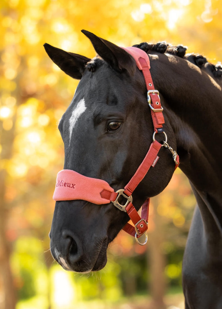 LeMieux Vogue Fleece Headcollar & Leadrope - Russet