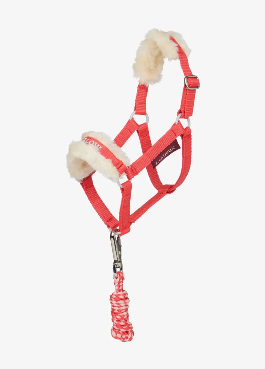 LeMieux Harlow Hobby Horse Headcollar & Leadrope - Coral Crush