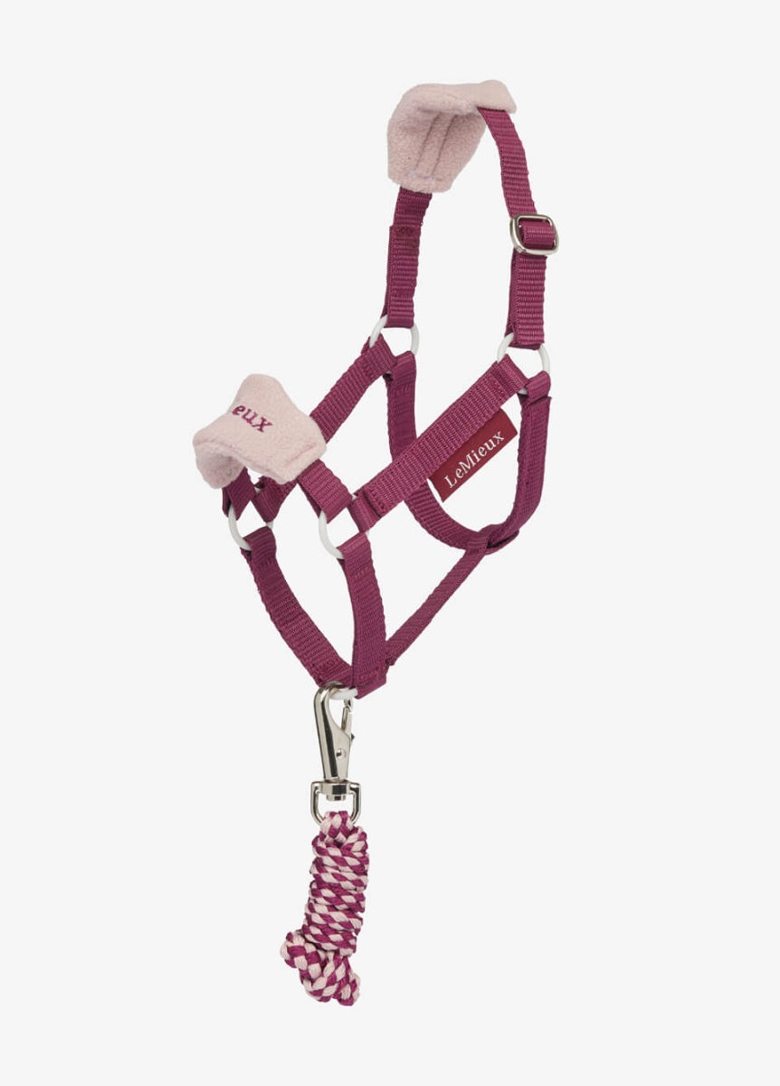 LeMieux Hobby Horse Vogue Headcollar & Leadrope - Blackberry