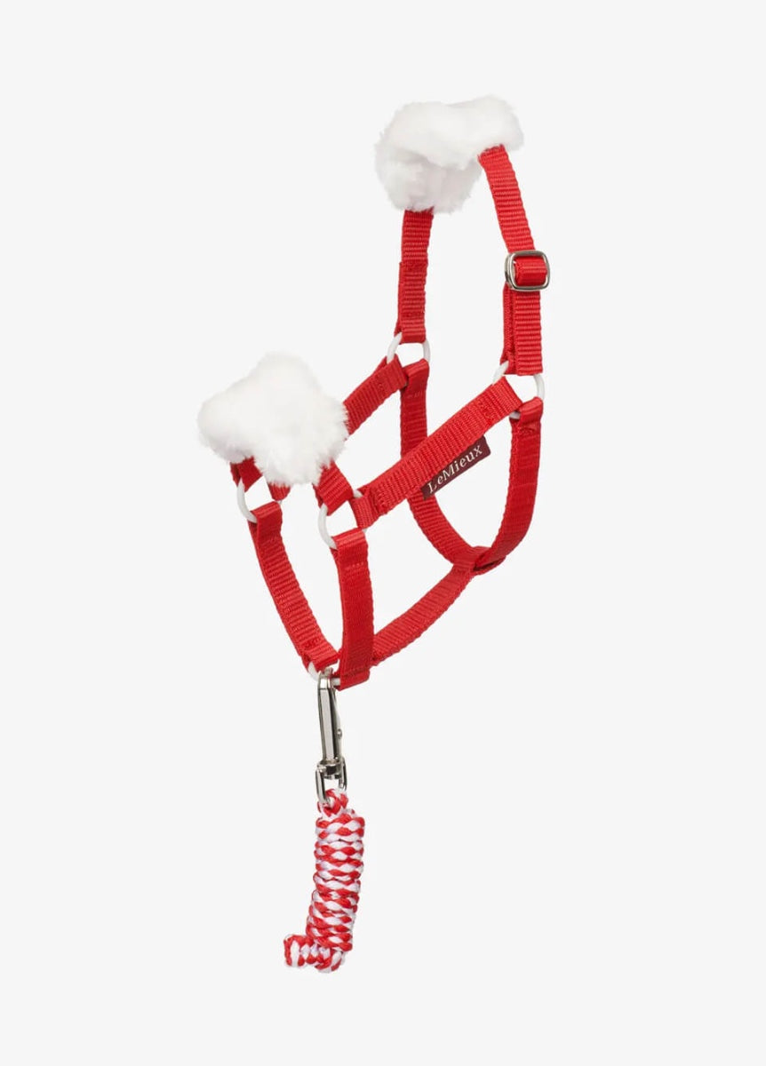 LeMieux Hobby Horse Christmas Headcollar & Leadrope - Red