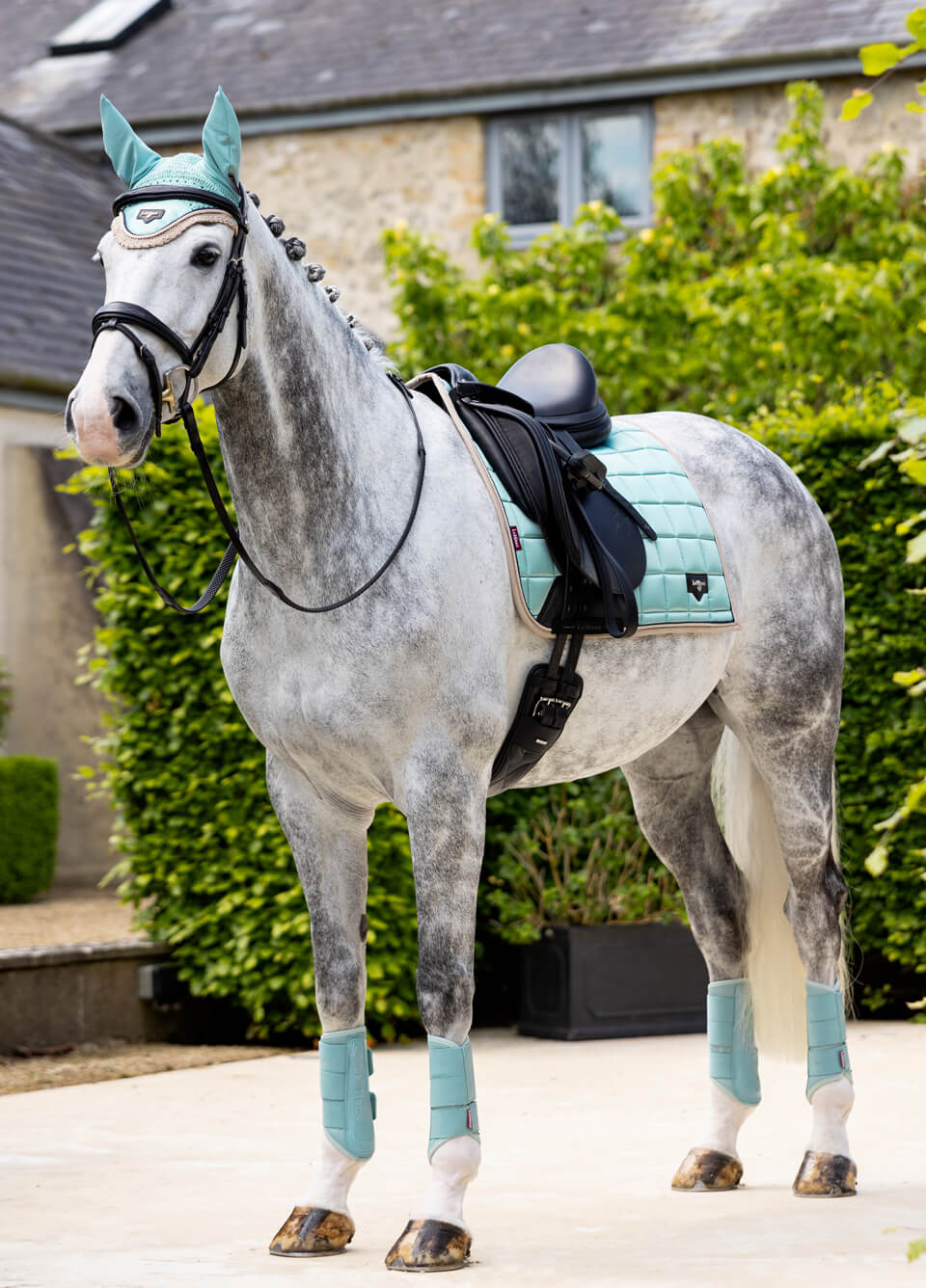 LeMieux Loire Dressage Square - Aqua