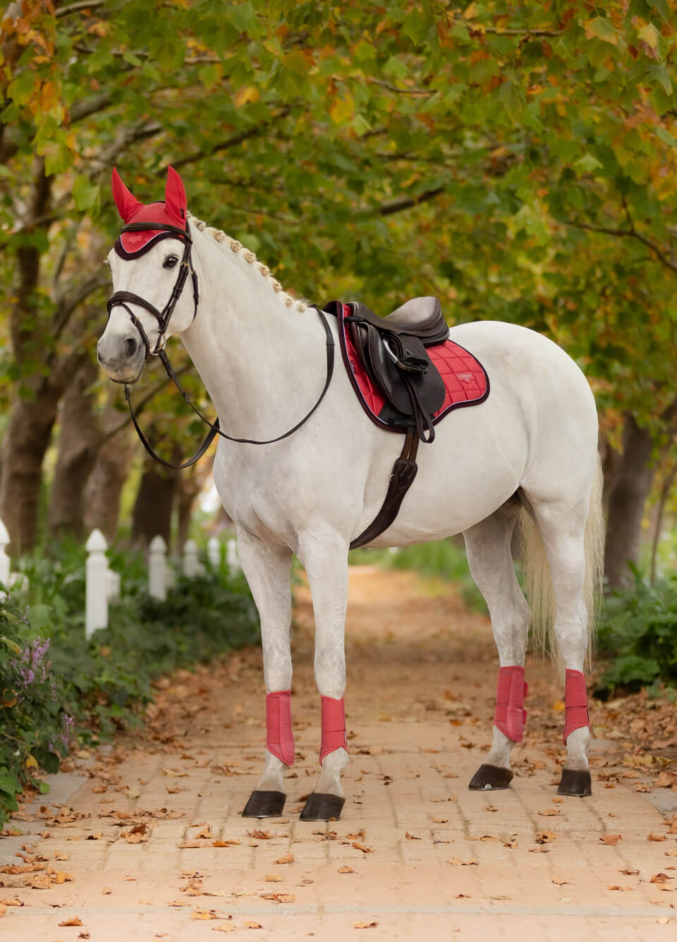 LeMieux Loire GP Square - Cranberry