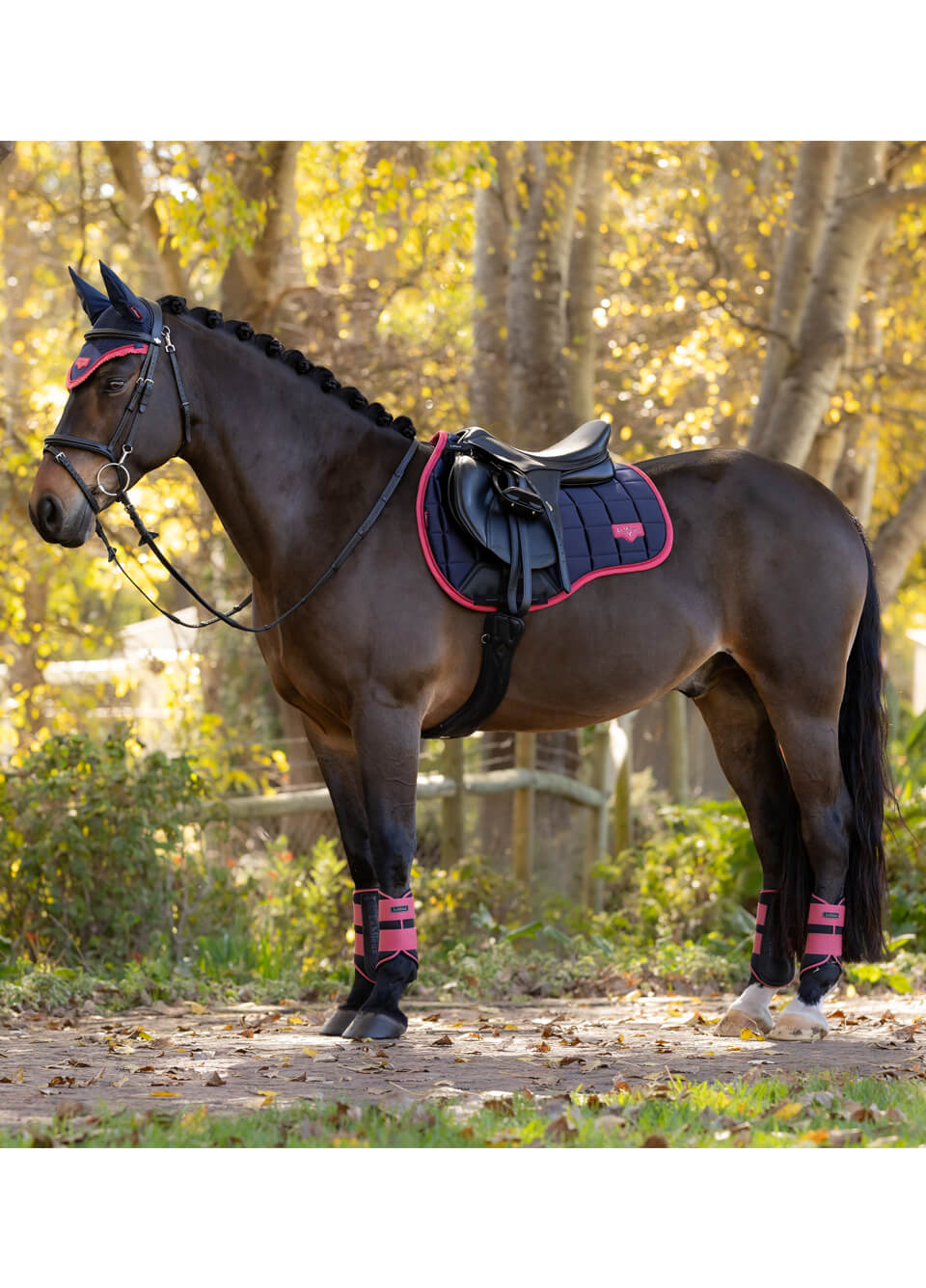 LeMieux Loire CC Square - Navy/Cranberry