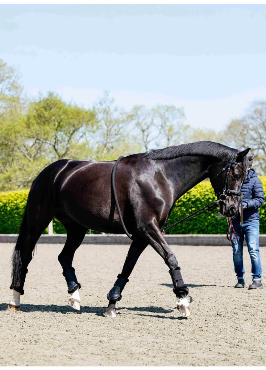 LeMieux Rope Lunging Aid - Black