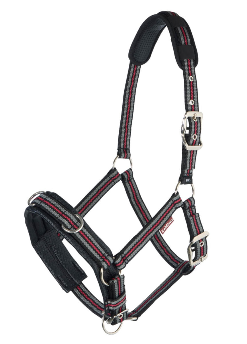 LeMieux Cavesson Lunge Headcollar - Black