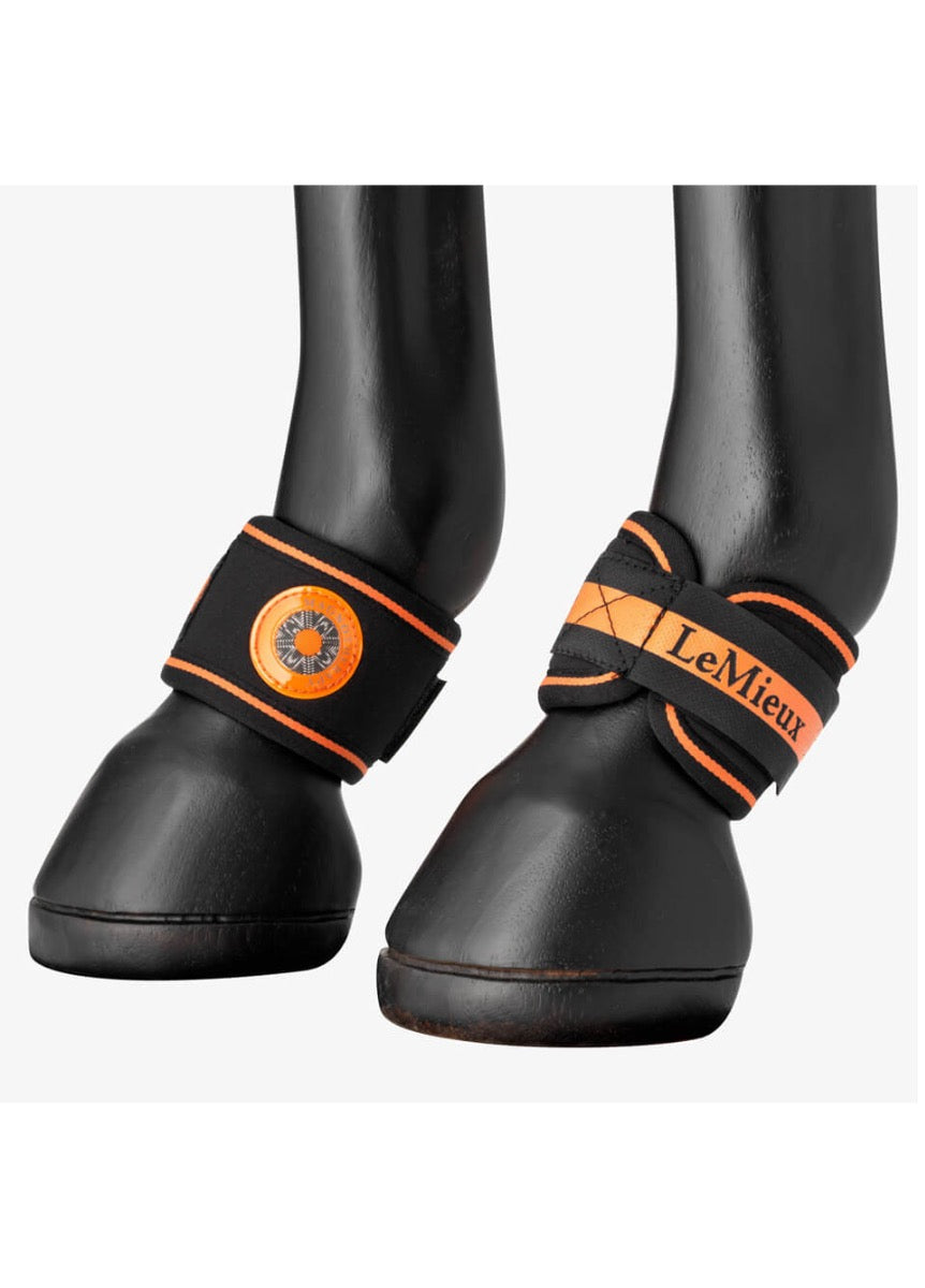 LeMieux Magno Pastern Wraps - Black