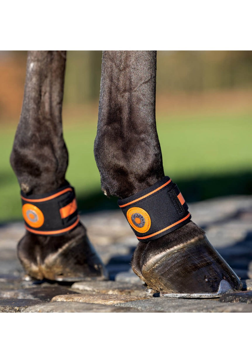 LeMieux Magno Pastern Wraps - Black