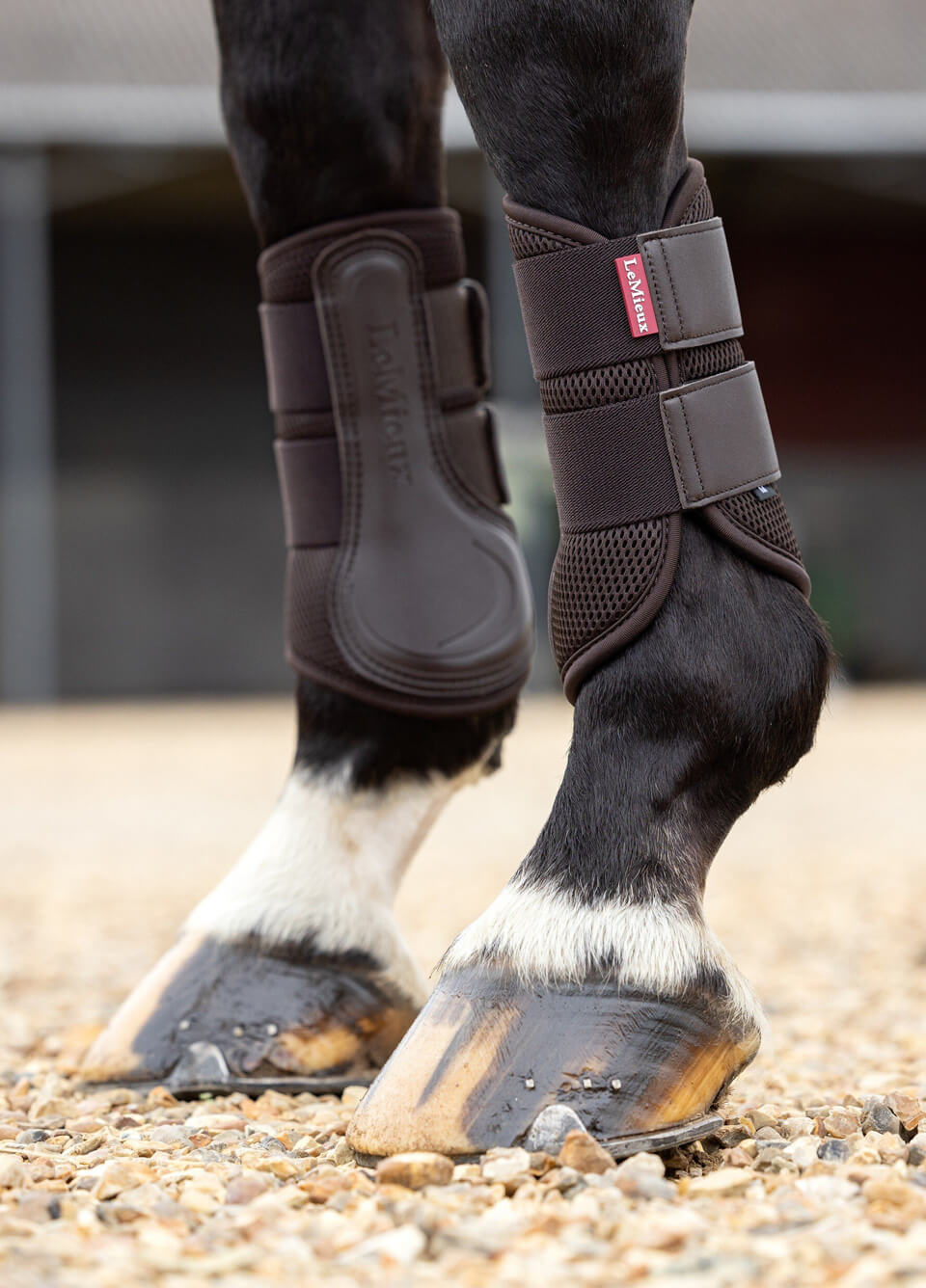 LeMieux Mesh Brushing Boots - Brown