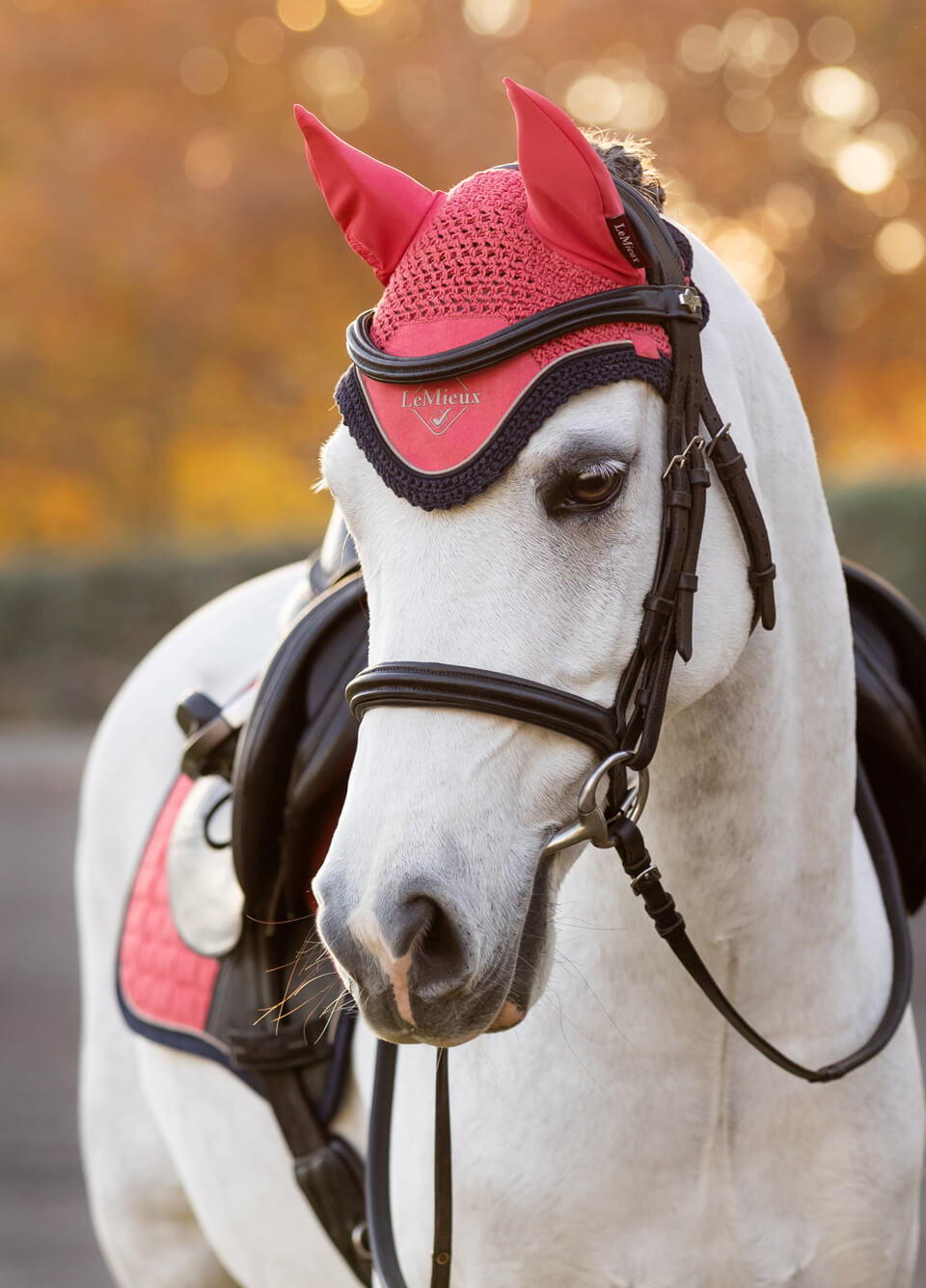 LeMieux Mini Fly Hood - Cranberry