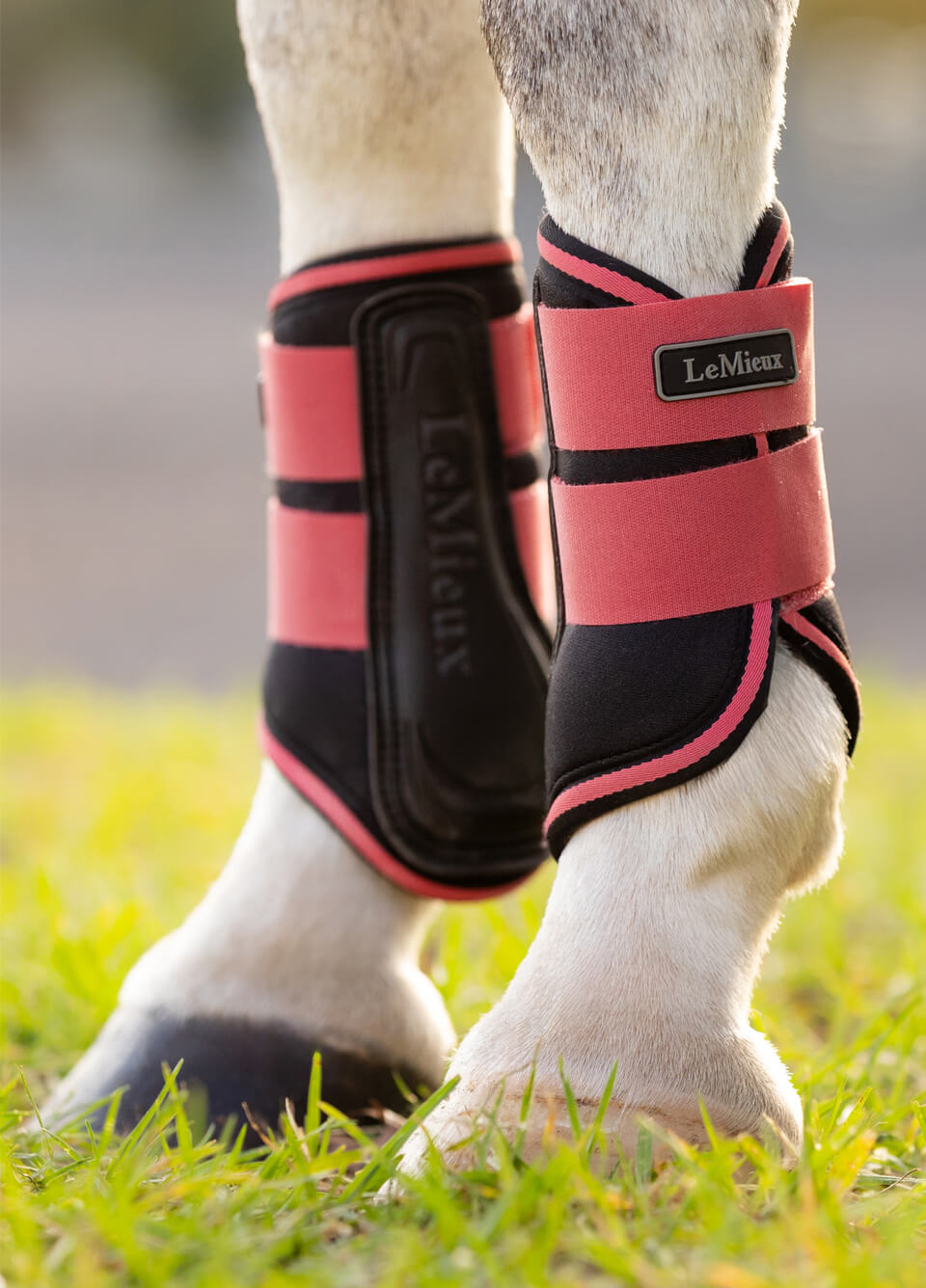 LeMieux Mini Grafter Brushing Boots - Cranberry