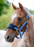LeMieux Mini Vogue Headcollar & Leadrope - Benetton Blue