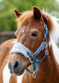 LeMieux Mini Vogue Headcollar & Leadrope - Ice Blue