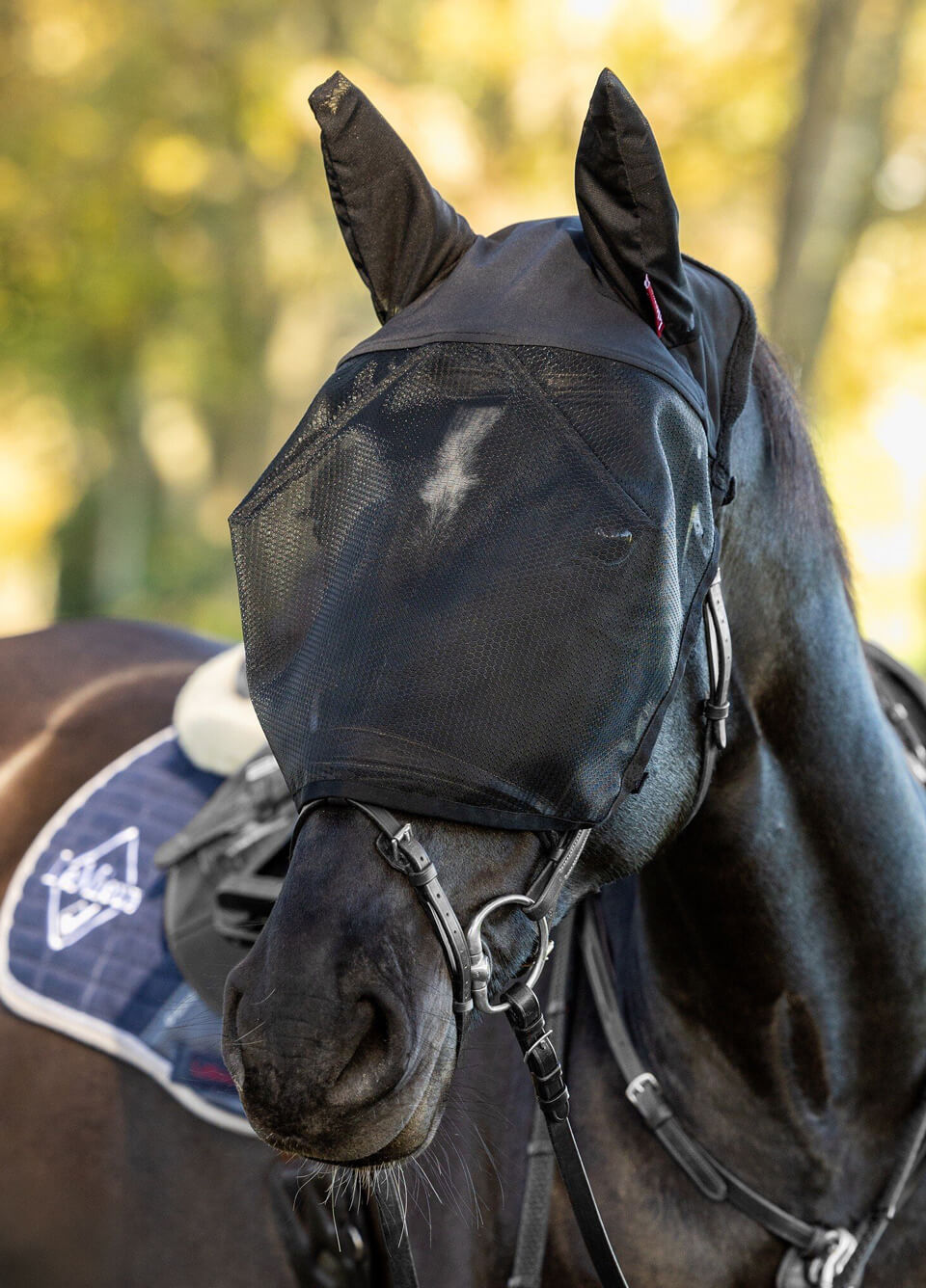 LeMieux Ride On Fly Mask - Black